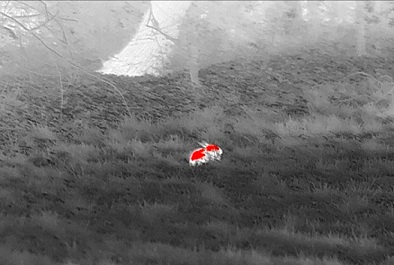 20250605 hazen warmtebeeld camera.jpg